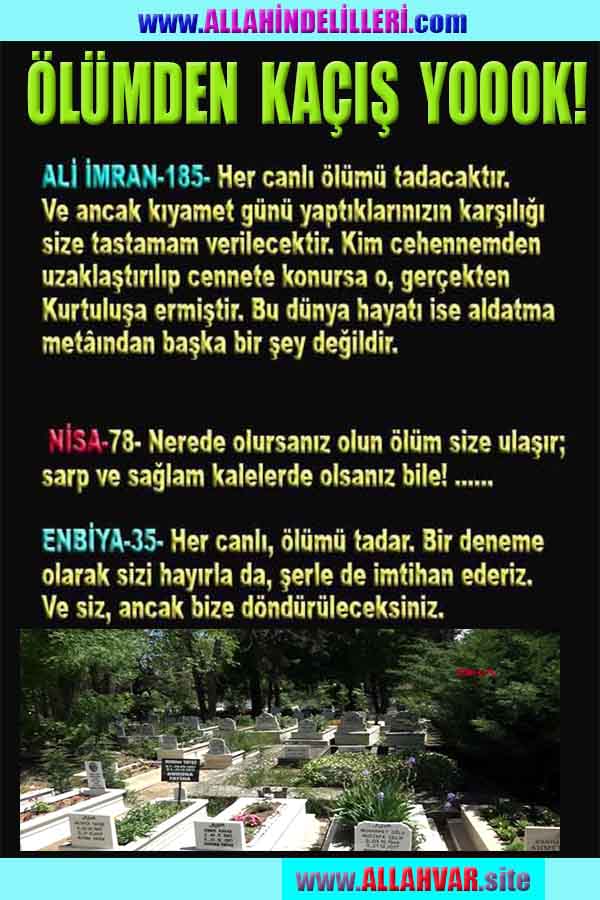 ALLAH ın delilleri,ALLAH, #ALLAH, allah-delilleri, allahin-delilleri, allahin delilleri, allah in varlığının delilleri,