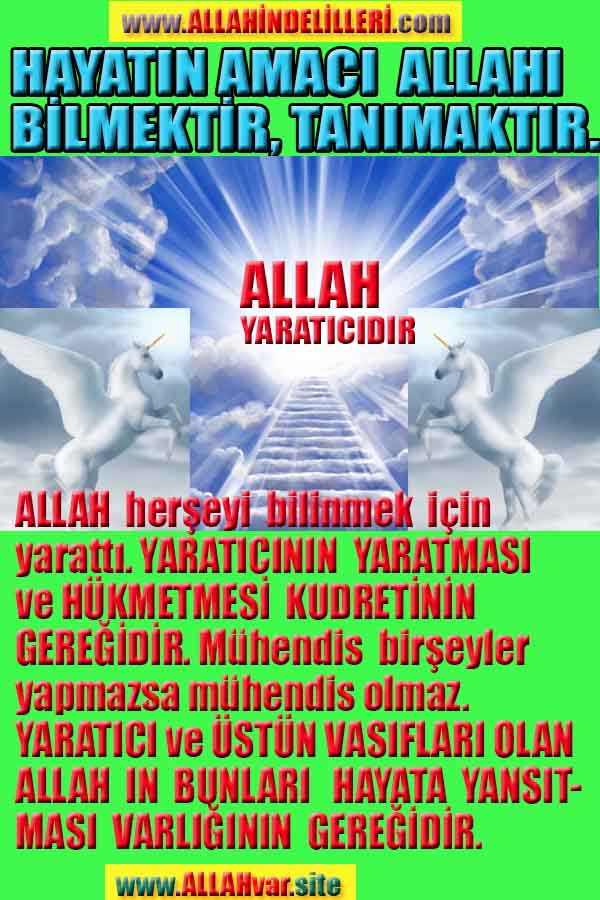 ALLAH ın delilleri,ALLAH, #ALLAH, allah-delilleri, allahin-delilleri, allahin delilleri, allah in varlığının delilleri,