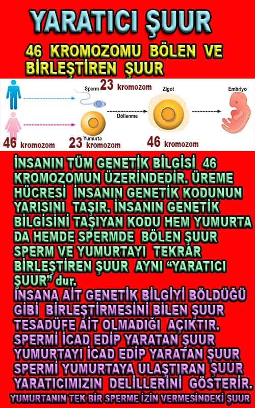 Allahın Delilleri 166