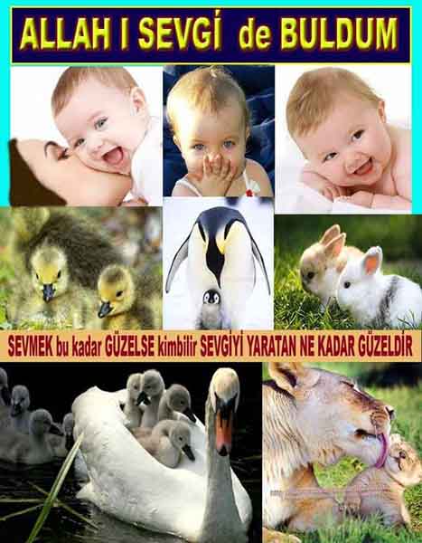 Allahın Delilleri 22