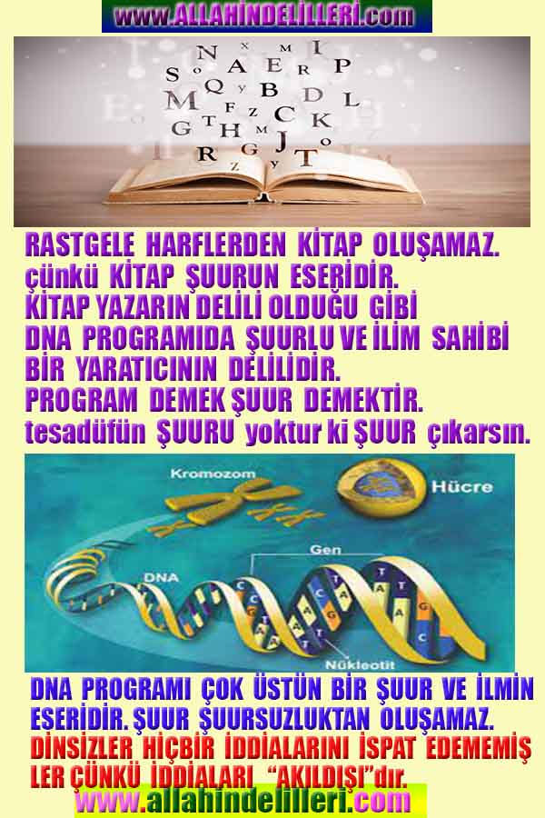 Allahın Delilleri 29