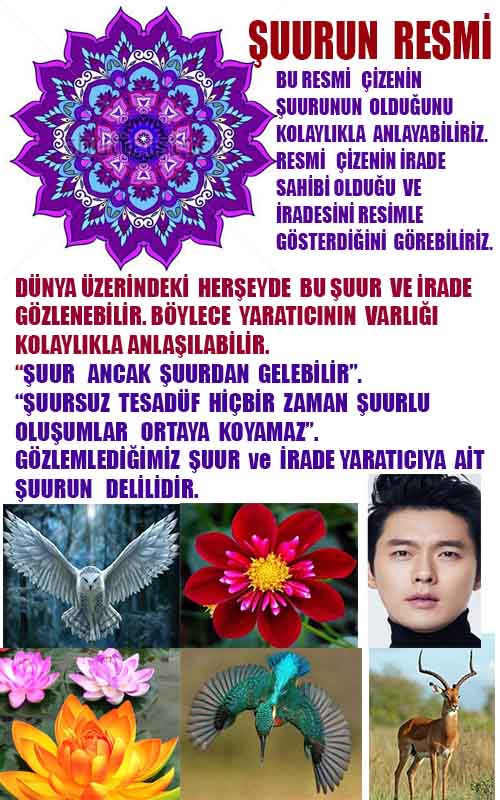 Allahın Delilleri 30