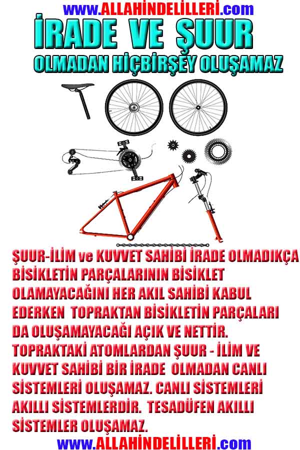 Allahın Delilleri 32
