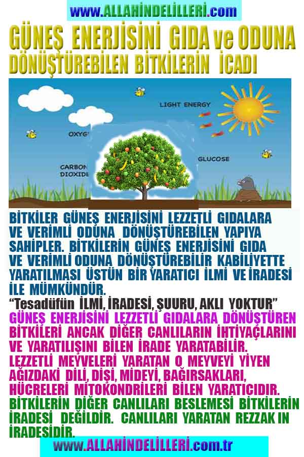 Allahın Delilleri 33