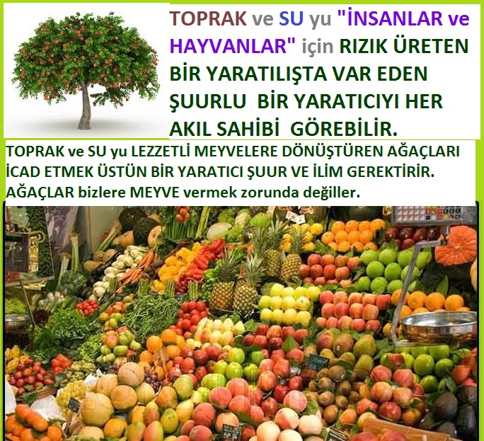 Allahın Delilleri 36