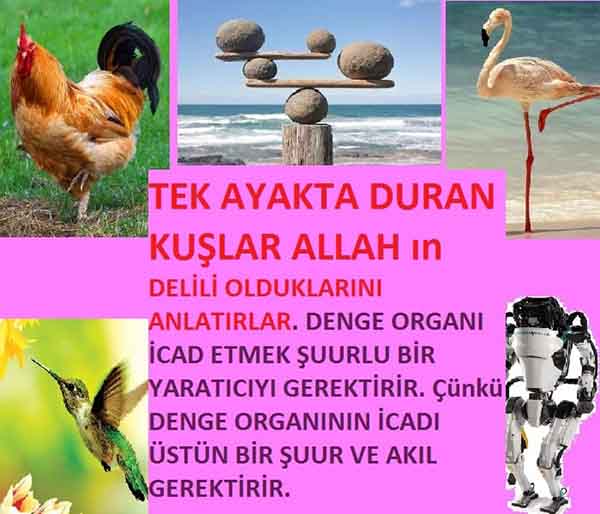 Allahın Delilleri 44