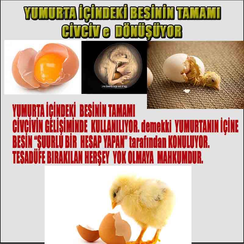 Allahın Delilleri 52