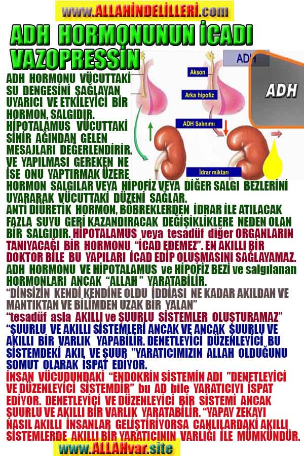 Allahın Delilleri 63