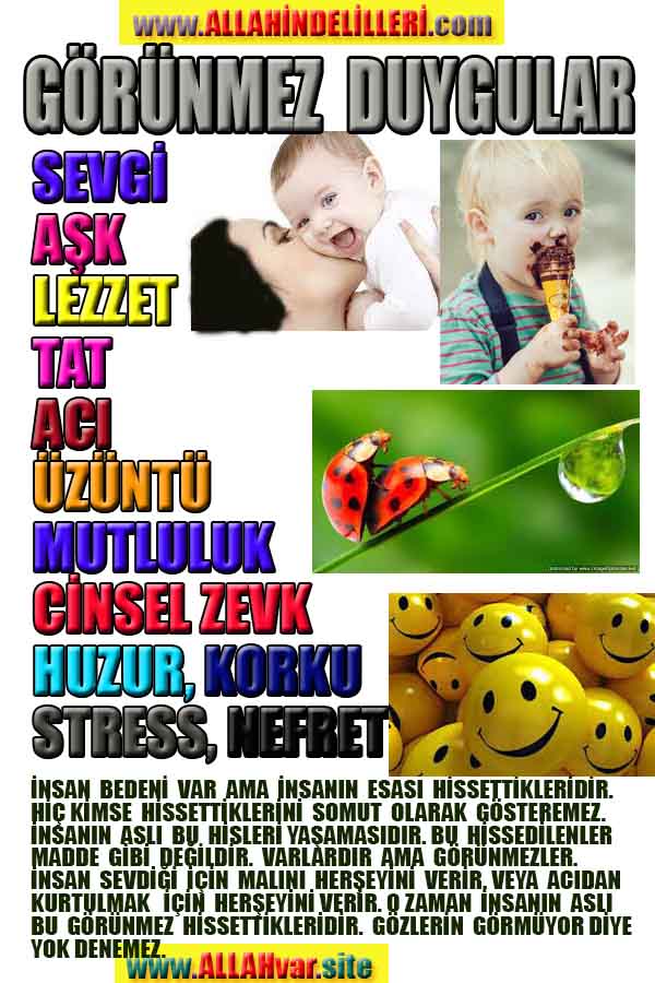 Allahın Delilleri 64