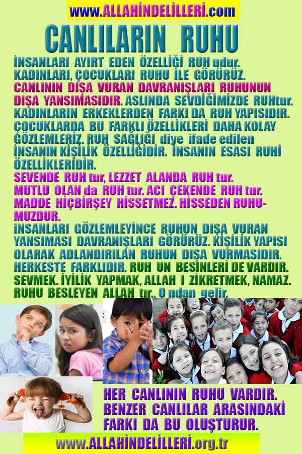 Allahın Delilleri 65
