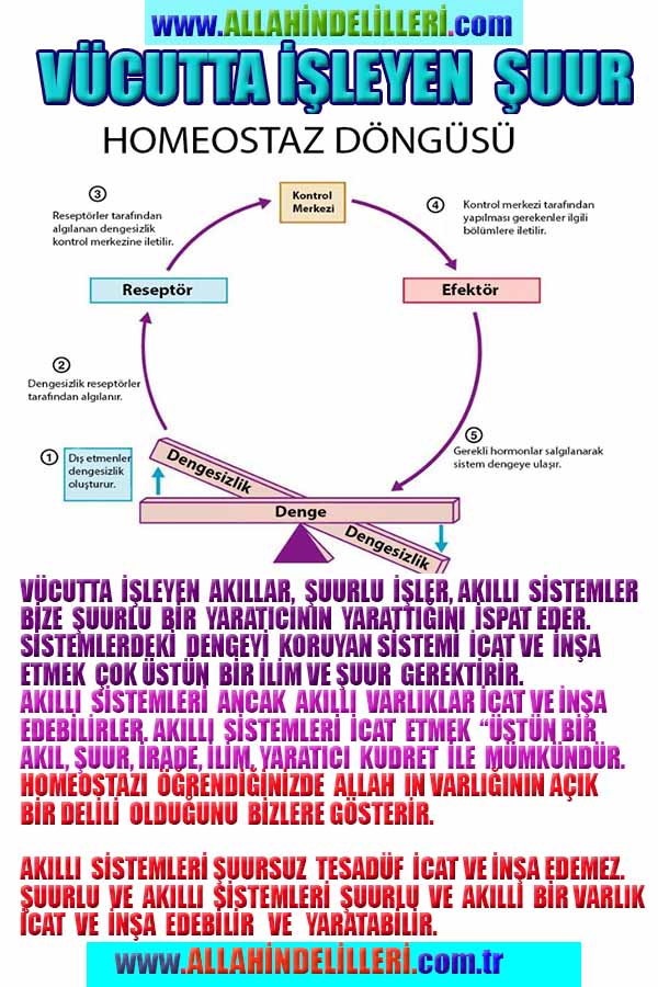 Allahın Delilleri 68