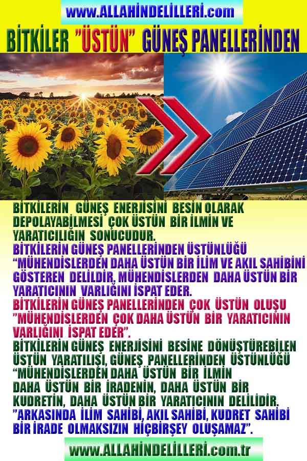Allahın Delilleri 7