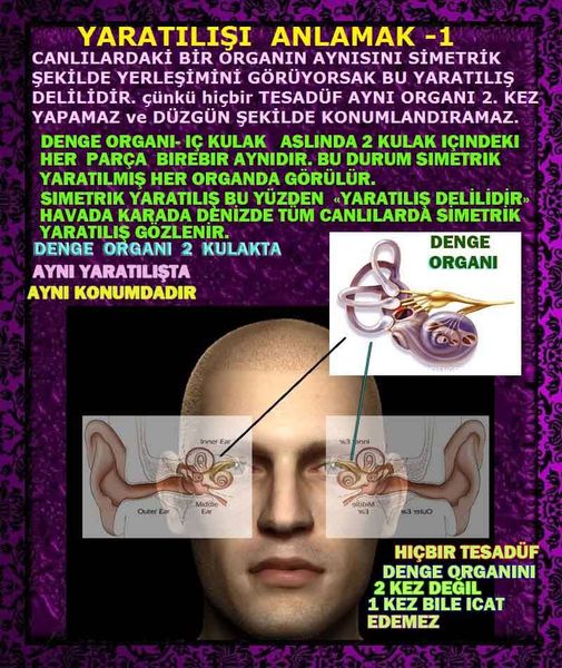 Allahın Delilleri 74