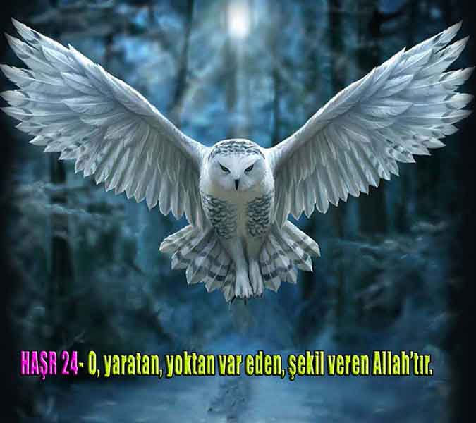Allahın Delilleri 77
