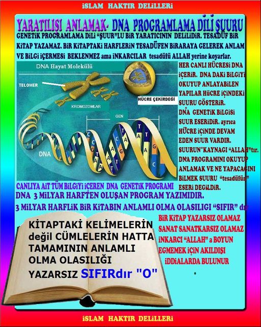 Allahın Delilleri 80