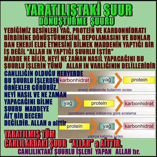 Allahın Delilleri 83