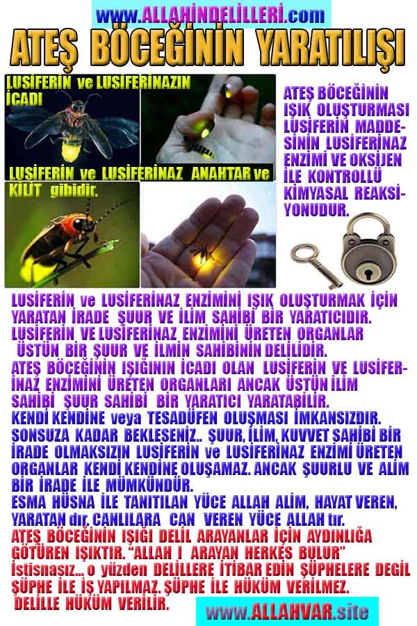 Allahın Delilleri 84