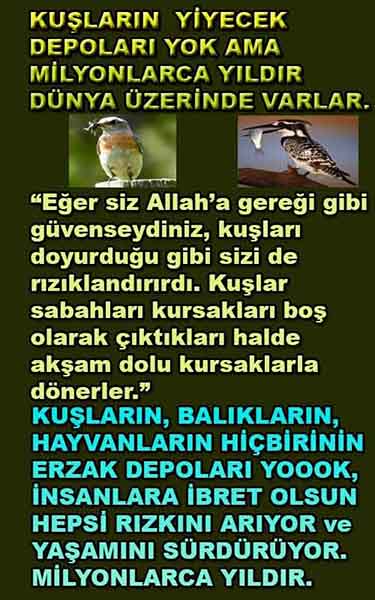 Allahın Delilleri 85
