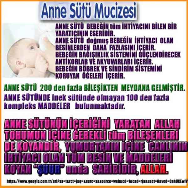 Allahın Delilleri 90